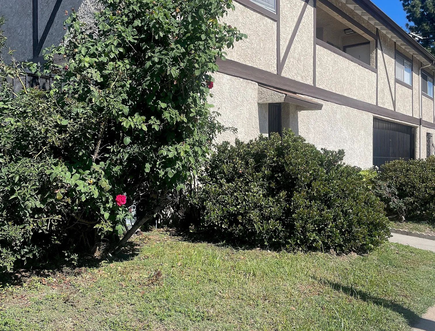 1 bed, 600 sqft, $1,850 — Photo 1