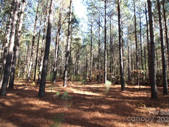 7/- Ac Ln Lot 2, Clover, SC 29710