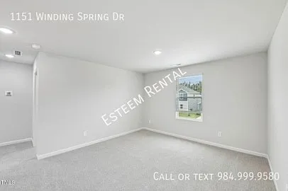 1151 Winding Spring Dr — Photo 16