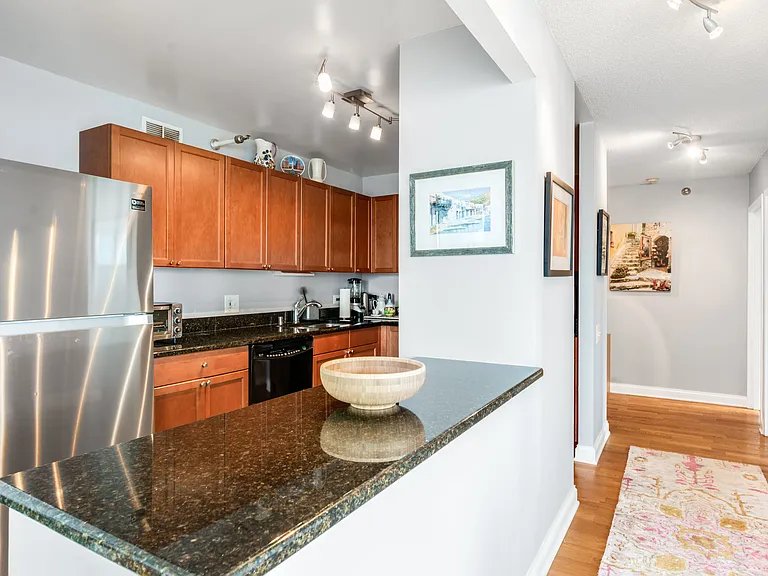 474 N Lake Shore Dr #4002 — Photo 7