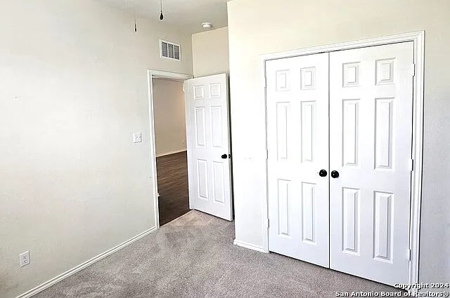 3162 Wild Iris — Photo 29