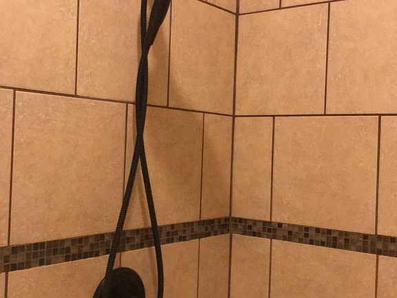 Tile shower in master bath 