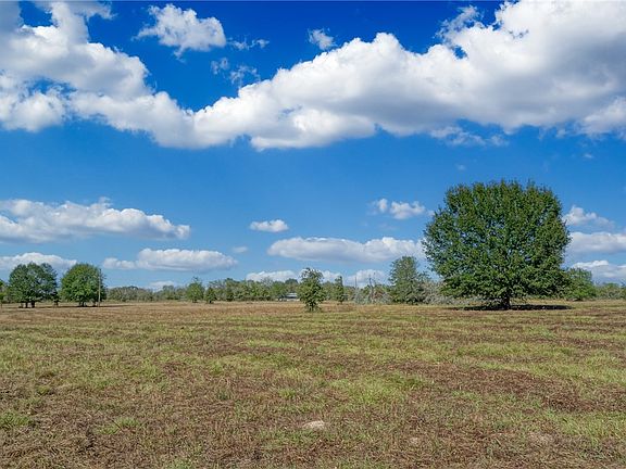 3rd image of LOT 11 County Road 229