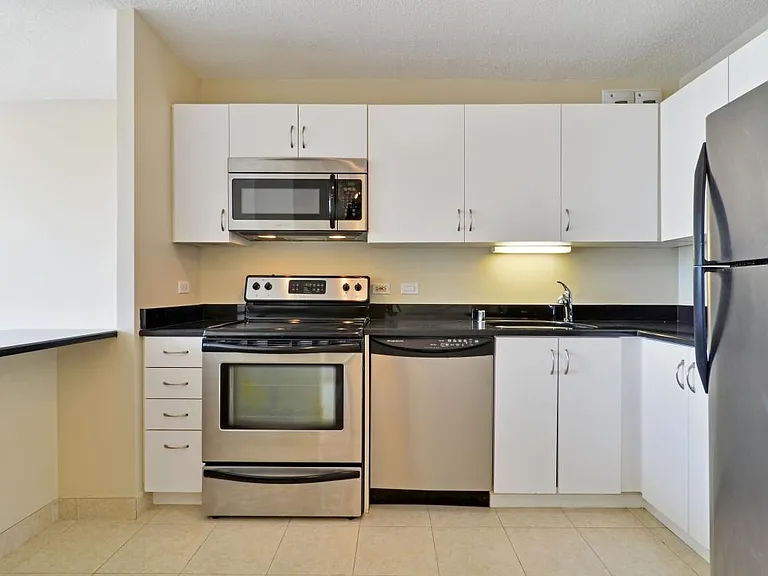 405 N Wabash Ave #3112 — Photo 5