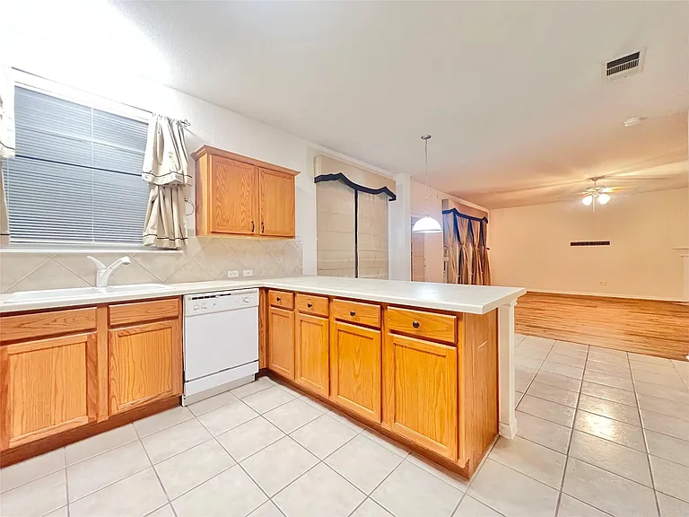 1103 Apollo Ln — Photo 11