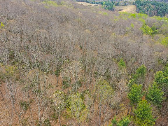 3rd image of Cox Store Rd SW
