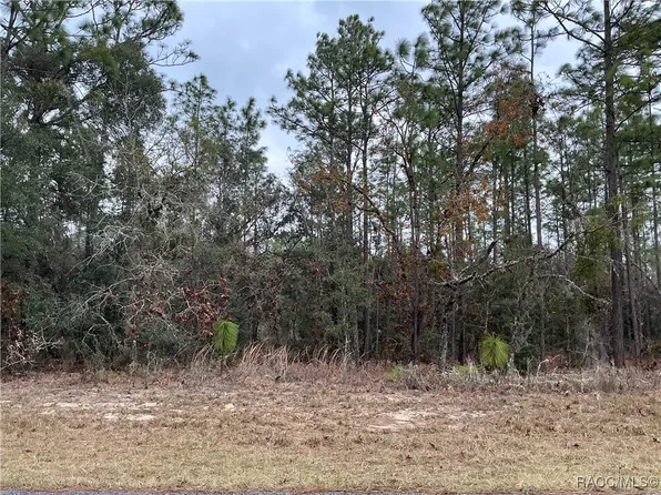 7282 N Ireland Dr, Citrus Springs, FL 34434