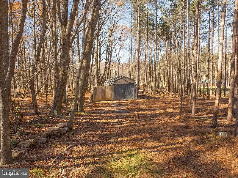 Thumbnail 11