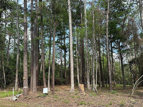 3rd image of 775 Huckleberry Rd