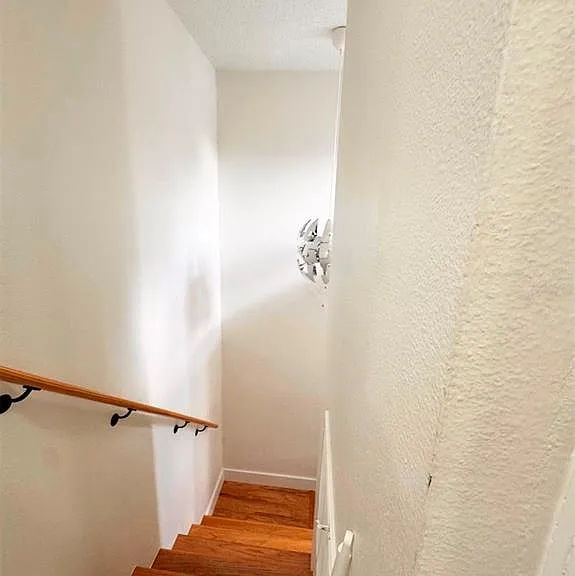 574 Orchid Dr — Photo 12