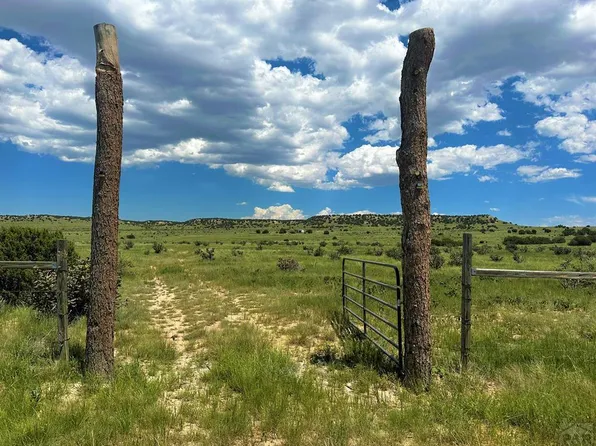44102 County Road 103.5, Model, CO 81059