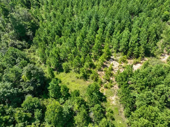 12 Carters Ferry Rd E, Milam, TX 75959