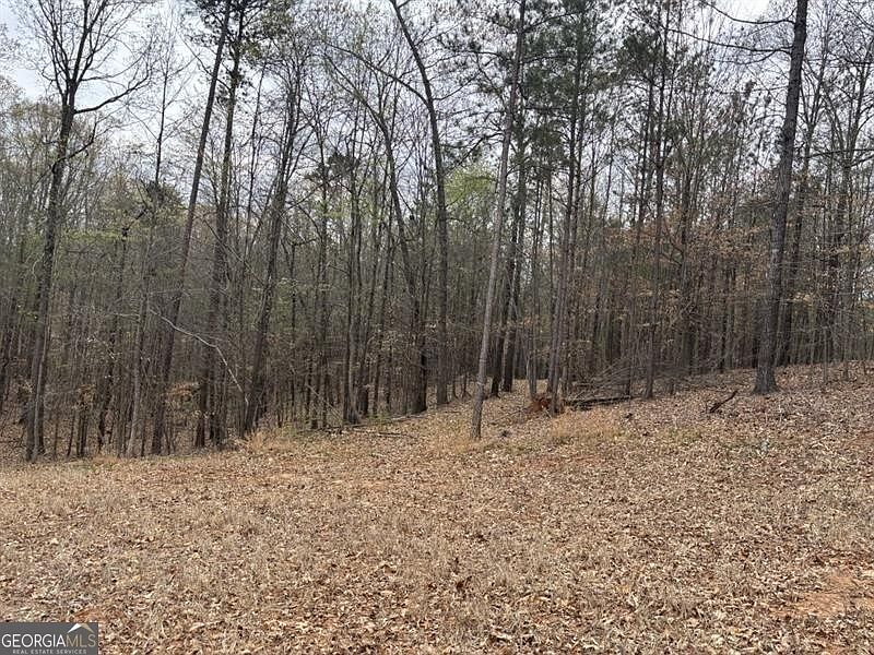 2nd image of 0 Summer Lake Rd