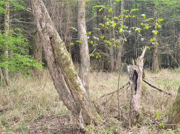 0 Green Rd, Tippecanoe, OH 44699