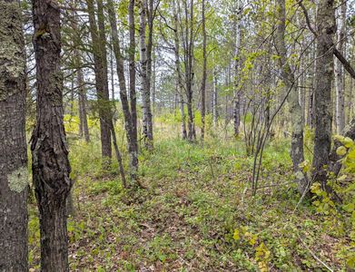 0 Tar Paper Aly, Brule, WI, 54820