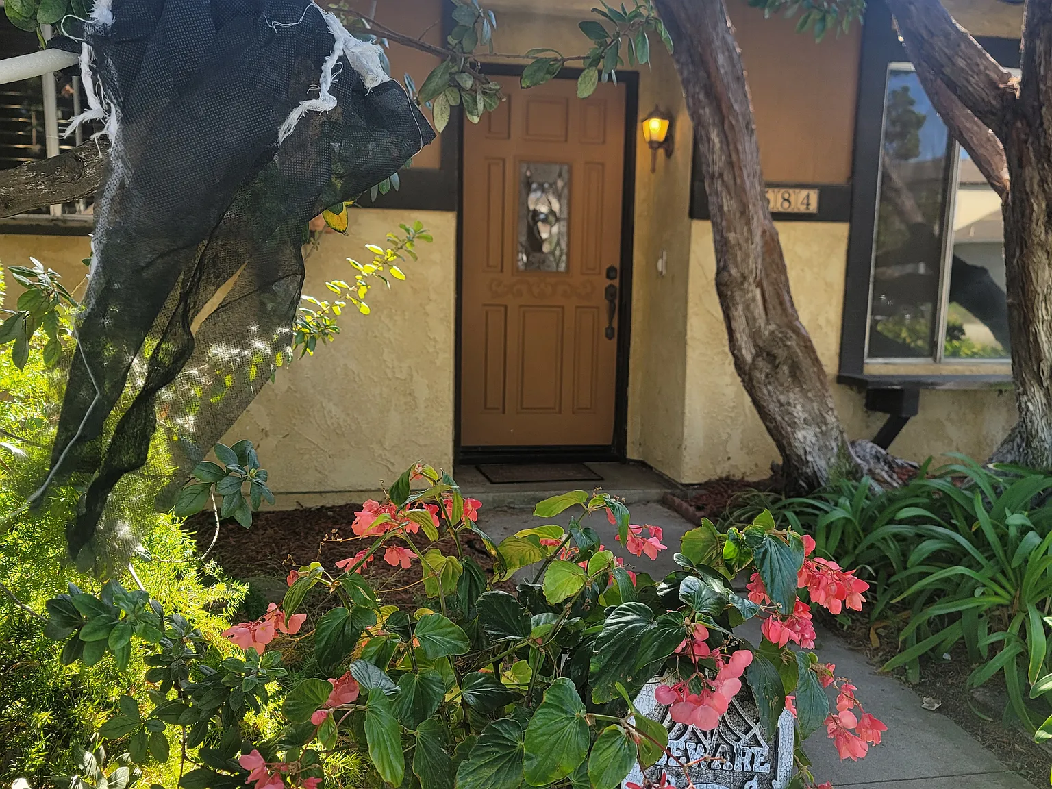 Lemur St, Ventura — Photo 3