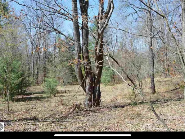 3873 W Bear Lake Rd NE, Kalkaska, MI 49646