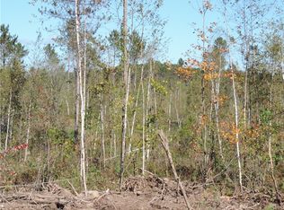 N-1745 N Kegama Rd #3, Sarona, WI 54870