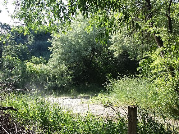 4th image of 2224 Dry Creek Way