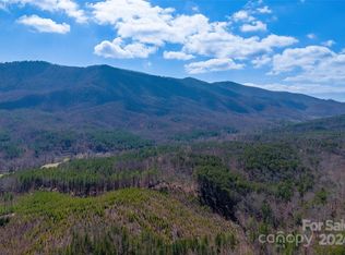 TRACT One Holbert Cove Rd, Mill Spring, NC 28756