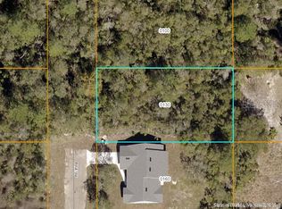 0 Pine Ave LOT 13, Orange City, FL 32763