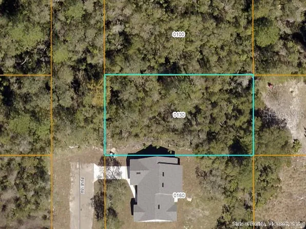0 Pine Ave Lot 13, Orange City, FL 32763
