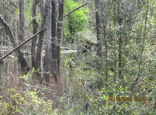 282 Bea Bea Rd, Wewahitchka, FL 32465