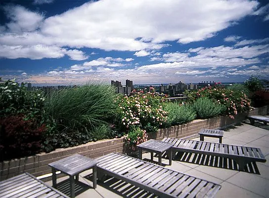 Rented by Corcoran | media 32