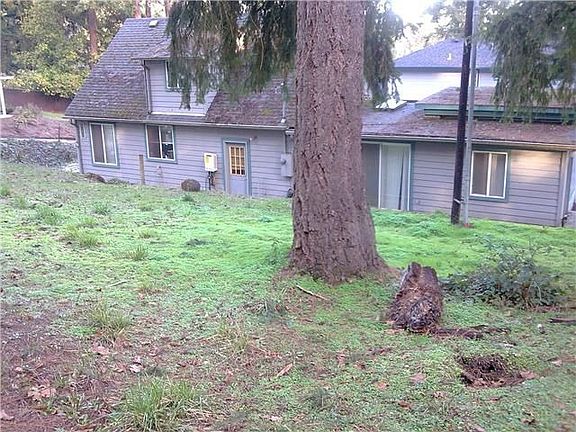 Back yard and lots of trees!