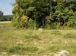 7847 Emerald Run Rd, Medina, OH 44256