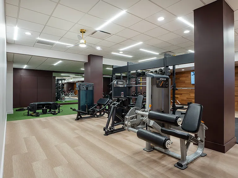 Strength Equipment