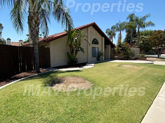 Backyard and Main entrance