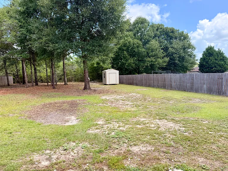 Backyard