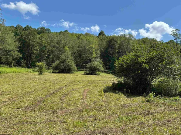 Hunters Fork Rd, Belington, WV 26250