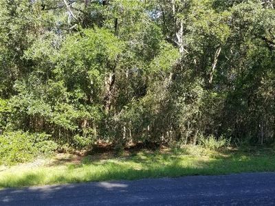 10720 N Academy Dr, Citrus Springs, FL, 34434