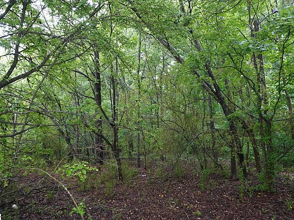 4th image of 175 Stewart Lake Rd