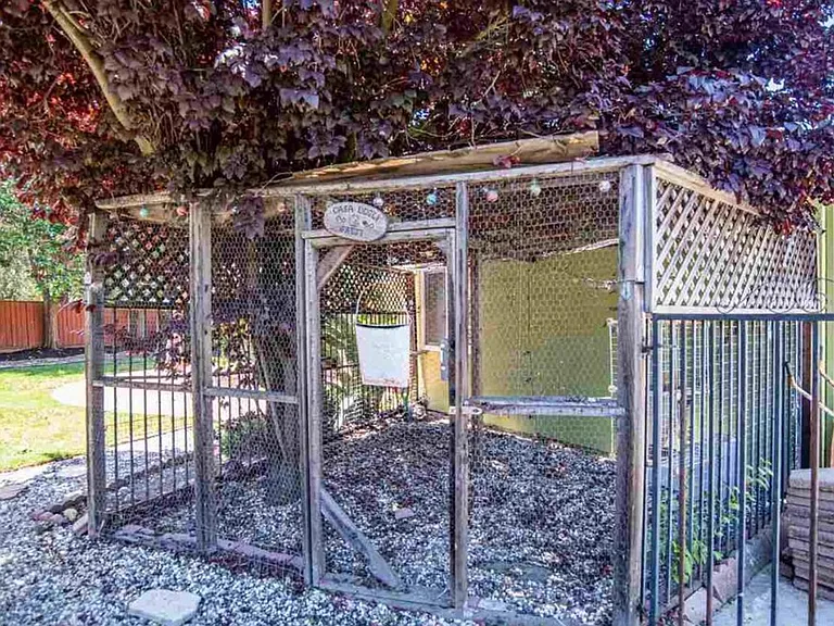 Shaded, secure dog run