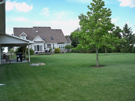 Backyard Fun