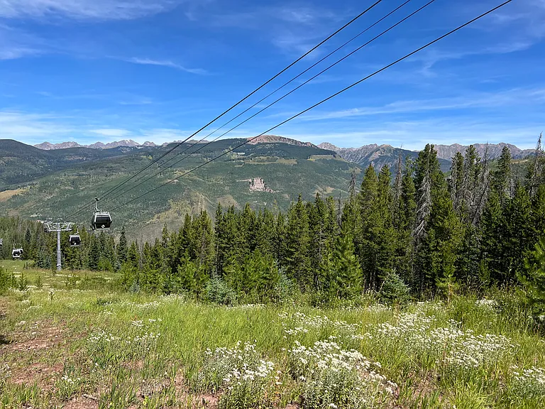 1030 Lions Ridge Loop #204 — Photo 13