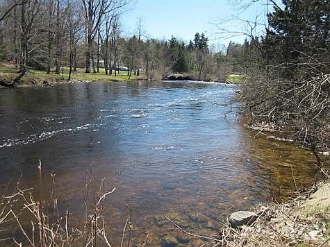 Fishing or Swimming