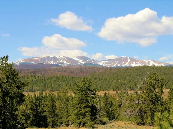 2512 Willow Creek Ln, Fairplay, CO 80440