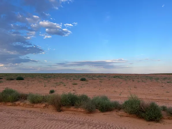 County Road L, Lamesa, TX 79331