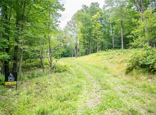 LOT 8 Beaver Creek Hollow Rd Lot 8, Delancey, NY 13752