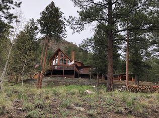 140 Pine Hollow Rd, Bailey, CO 80421