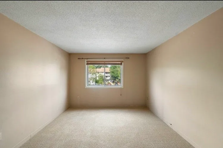 1808 Franklin Crossing Rd — Photo 6