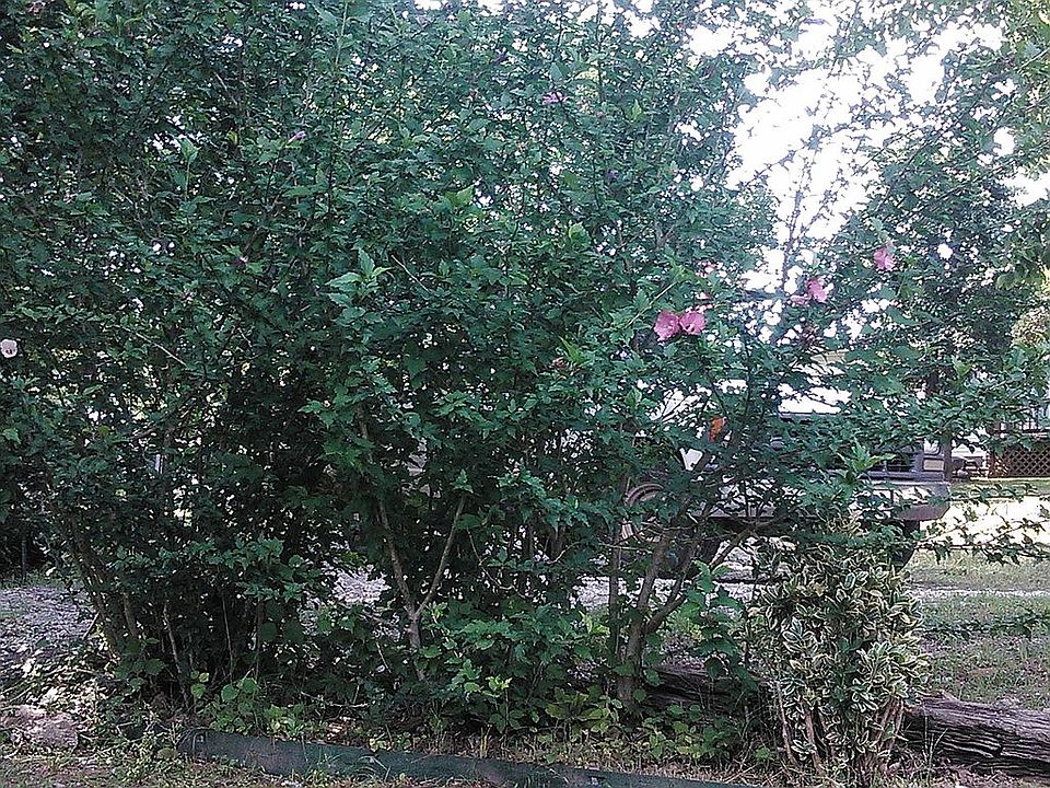 12854 Bryant Ln, Rogers, AR 72756 Zillow