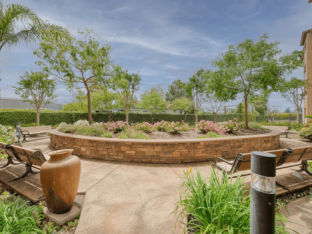Hayward Village Senior Apartments — Photo 4