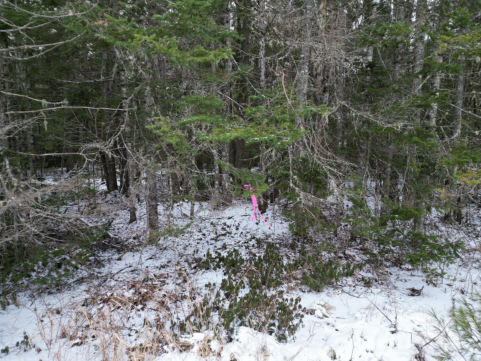 92 Edinburg Road, Howland, ME 04448 Zillow