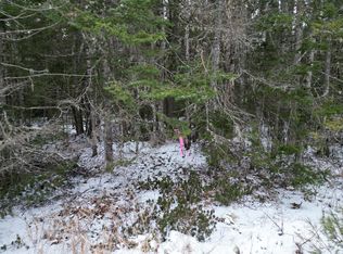 9-2 Edinburg Rd, Howland, ME 04448