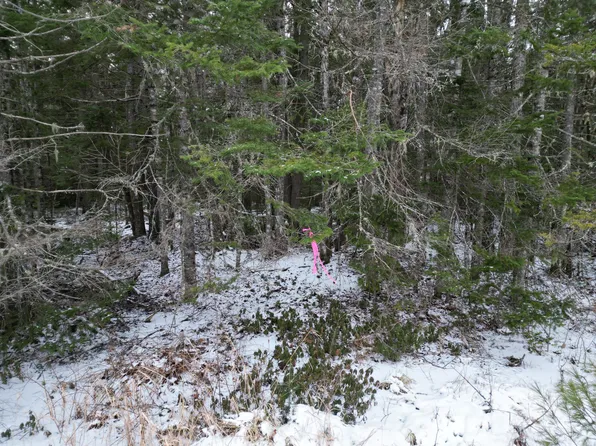 9-2 Edinburg Road, Edinburg, ME 04448